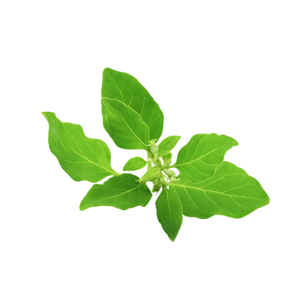 Reduce Tension & Mental Fatigue